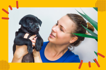 parvovirus-moquillo3.jpg